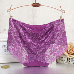 Panties Full Transparent Lace