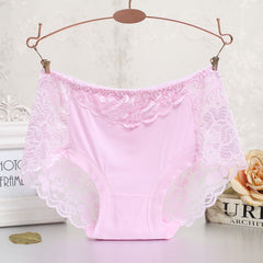 Panties Full Transparent Lace