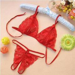 Sexy Bra Set Lace Holo Underwear